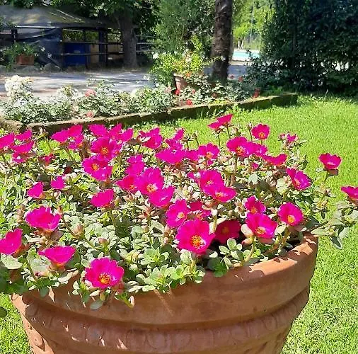 مزرعة للإقامة Il Gelso *